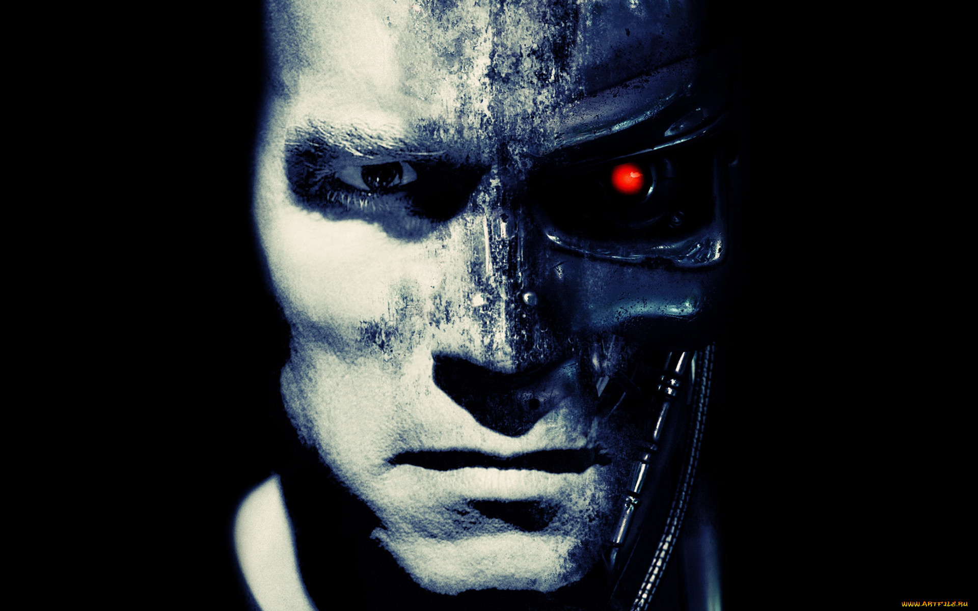 , , , terminator, the, arnold, schwarzenegger, 